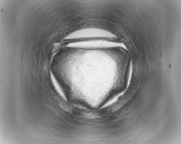 X0000087420561200705111919