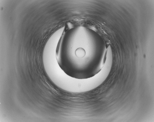 X0000087420562200705111919