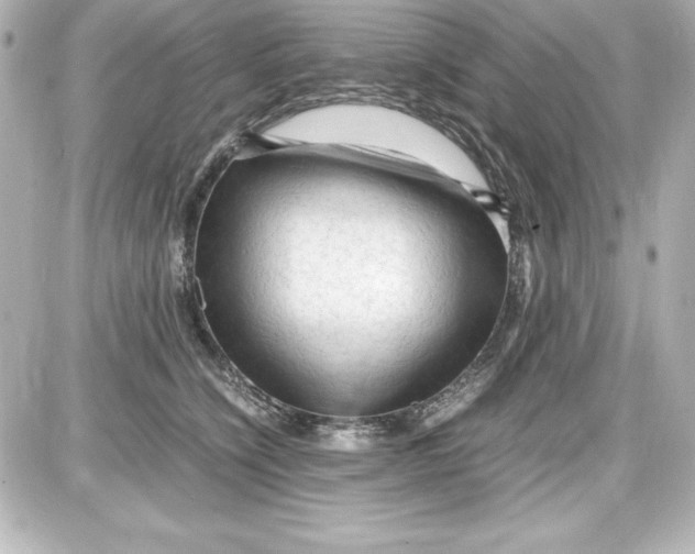 X0000087420564200705111919