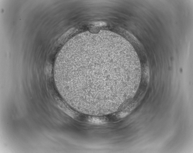 X0000087420565200705111919