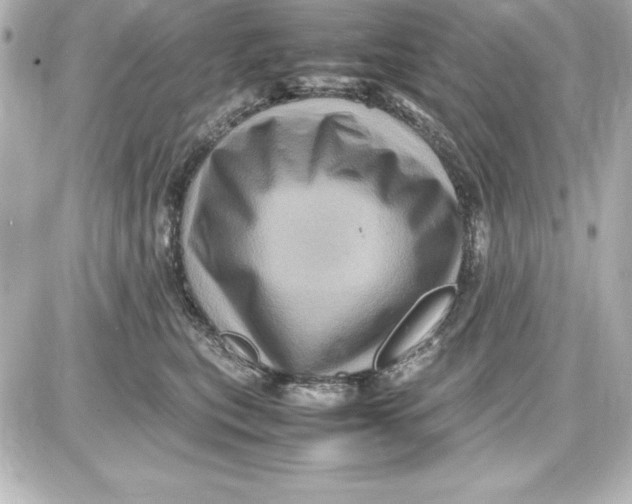 X0000087420567200705111919