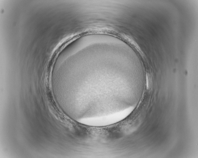 X0000087420579200705111918