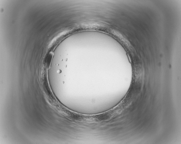 X0000087420583200705111918
