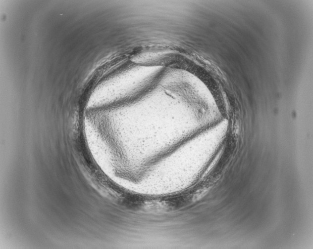 X0000087420591200705111918
