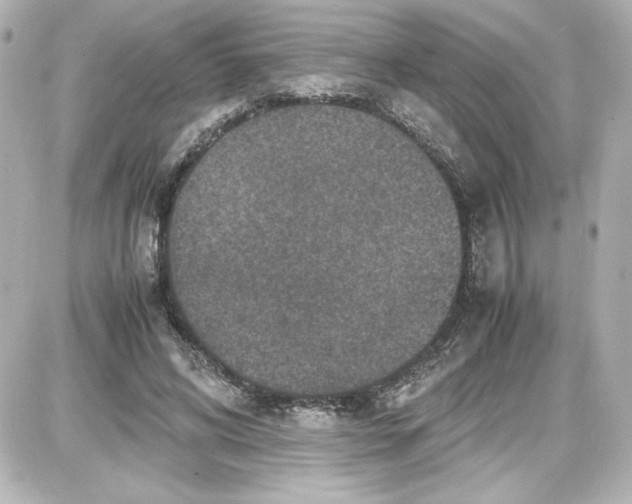 X0000087420592200705111918