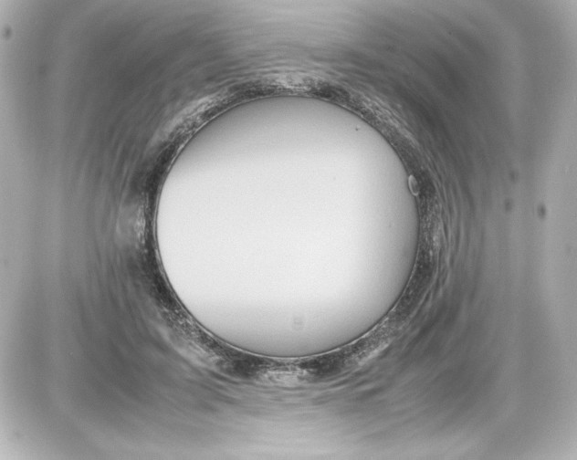 X0000087420595200705111918