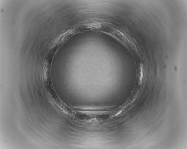 X0000087420600200705111918