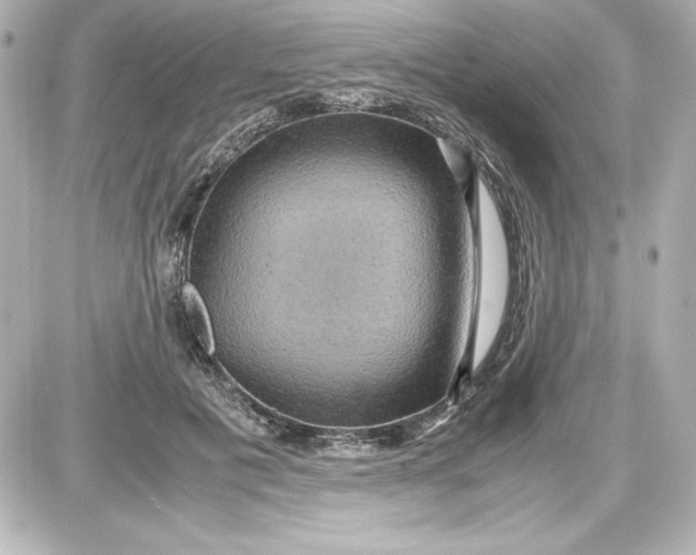 X0000087420601200705111918