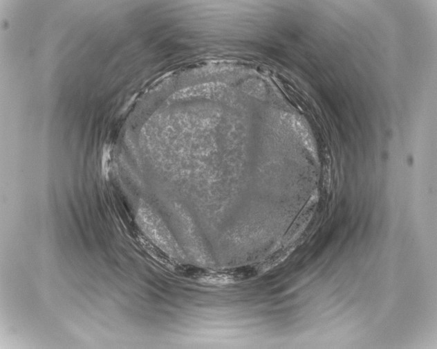 X0000087420604200705111918