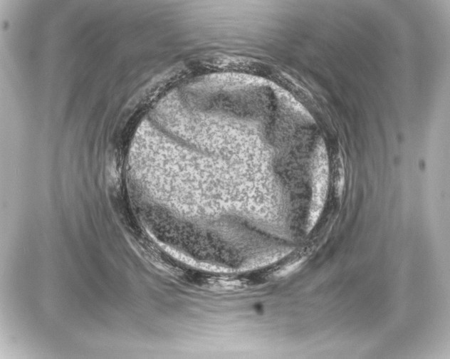 X0000087420607200705111918