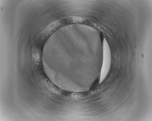 X0000087420608200705111918