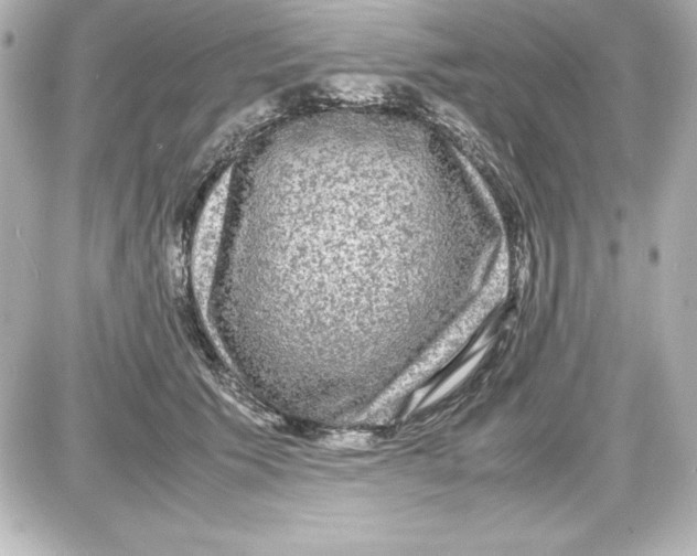 X0000087420609200705111918