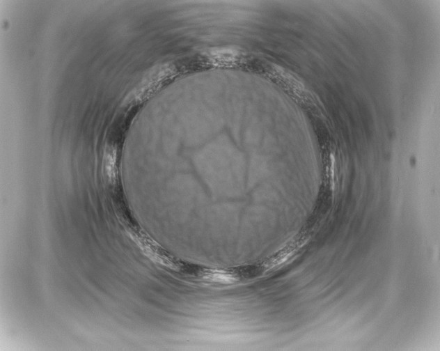 X0000087420610200705111918