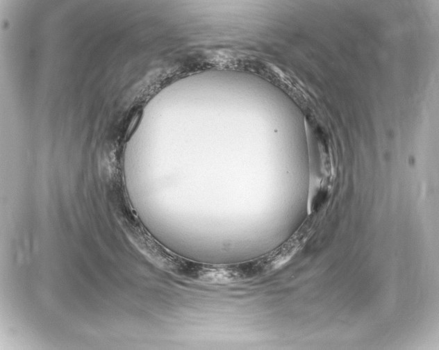 X0000087420611200705111918