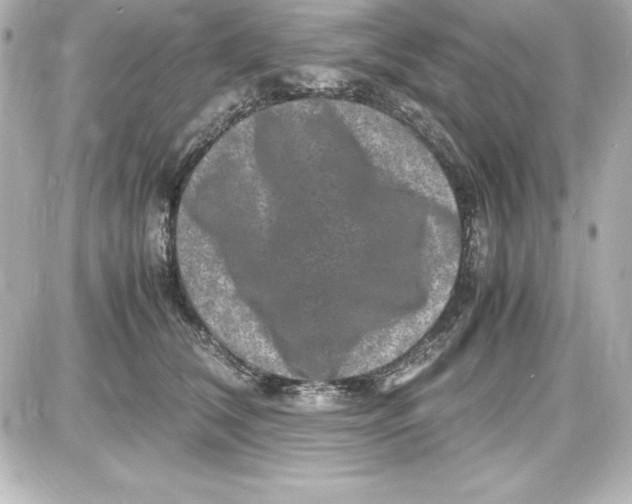 X0000087420612200705111918