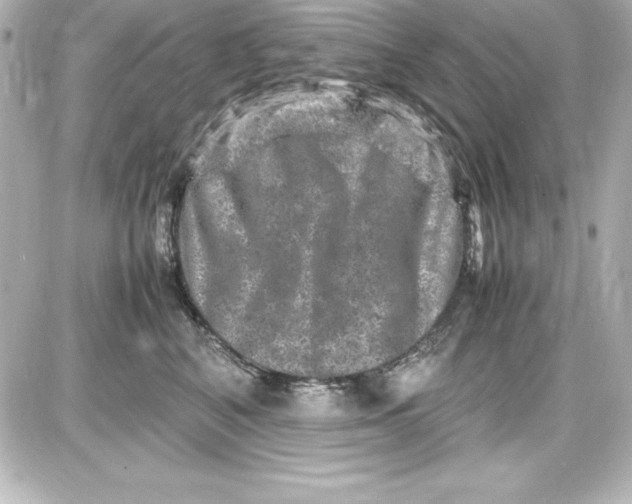X0000087420616200705111918