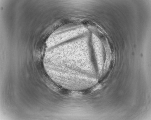 X0000087420617200705111918