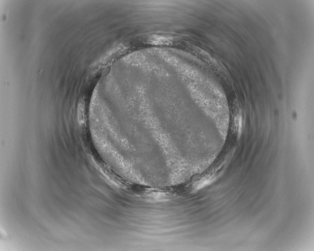 X0000087420620200705111918