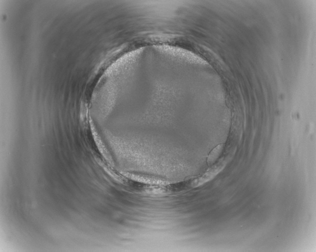 X0000087420624200705111918