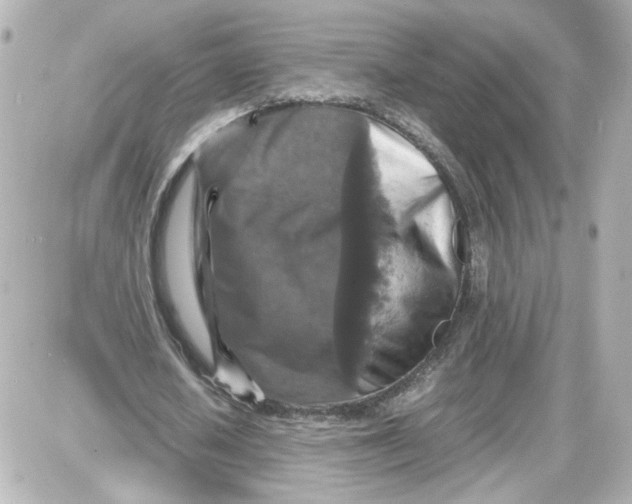 X0000087420626200705111917
