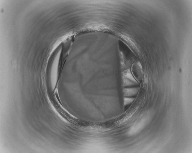 X0000087420630200705111917