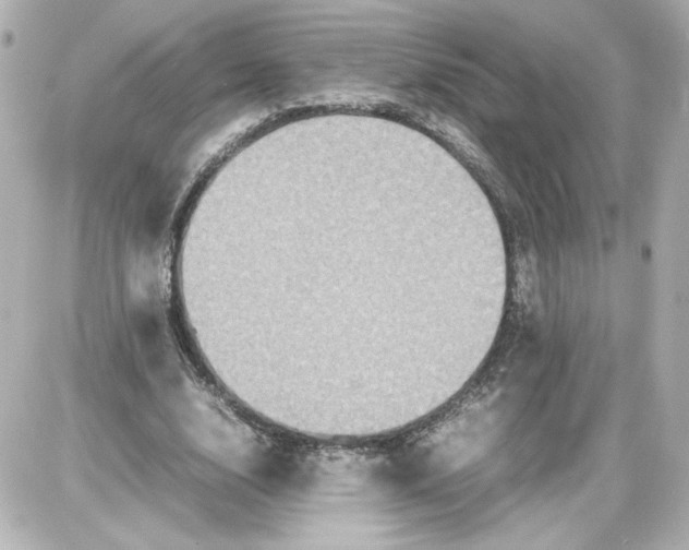 X0000087420632200705111917