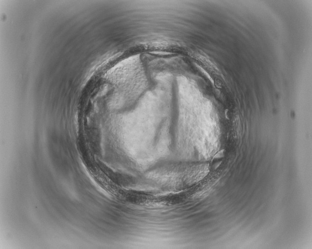 X0000087420638200705111917