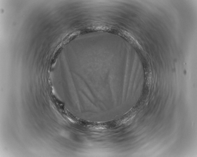X0000087420643200705111917