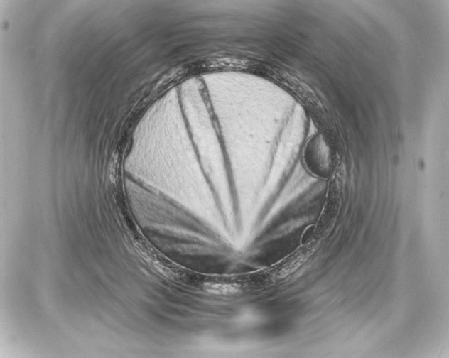 X0000087420649200705111917