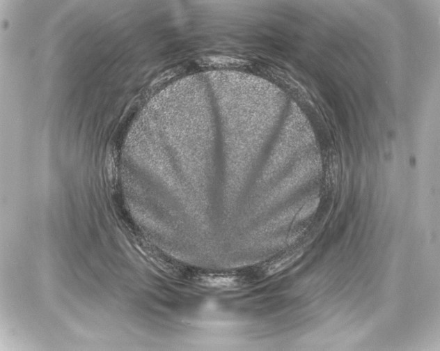 X0000087420651200705111917