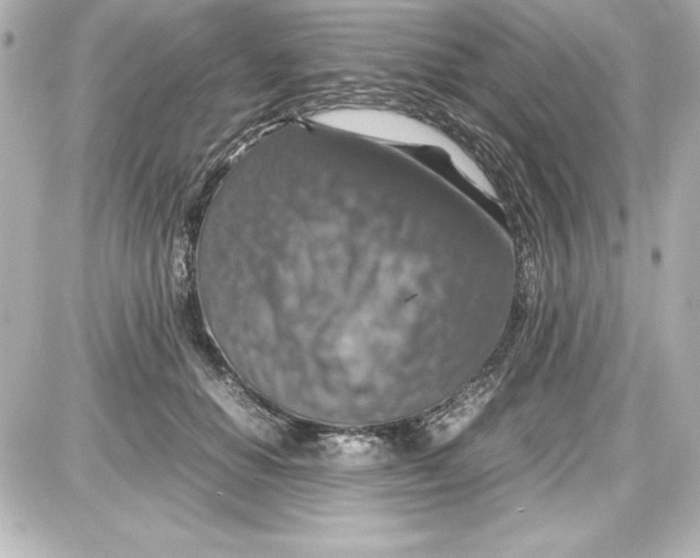 X0000087420654200705111917
