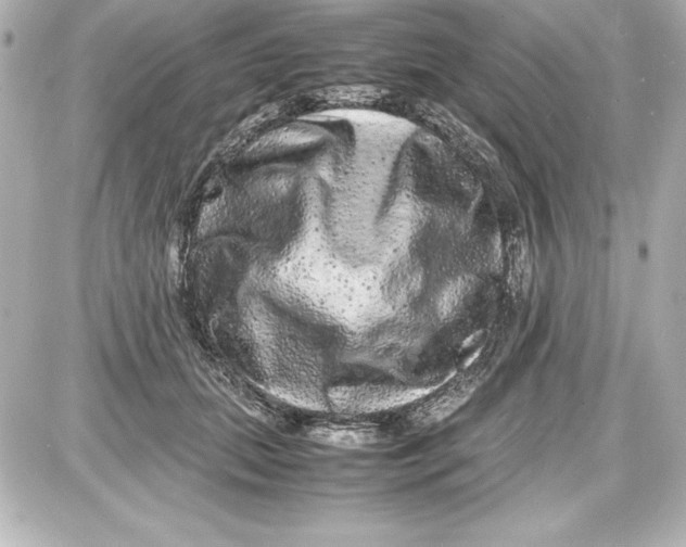 X0000087420655200705111917