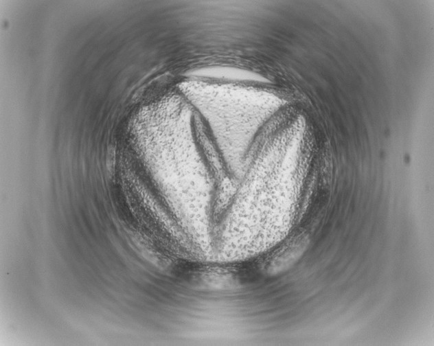 X0000087420656200705111917