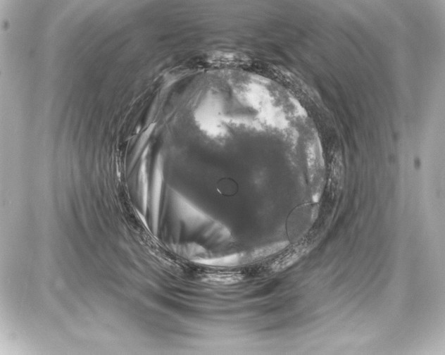 X0000087420659200705111917