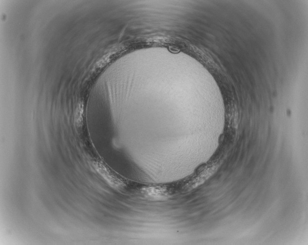 X0000087420660200705111917