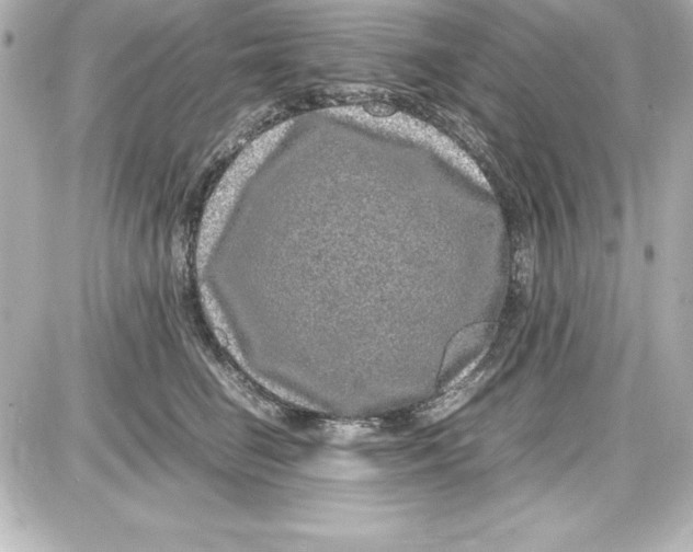 X0000087420662200705111917