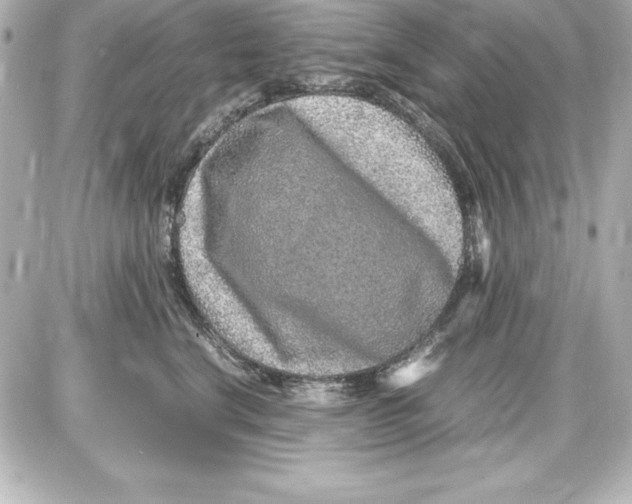 X0000087420664200705111917