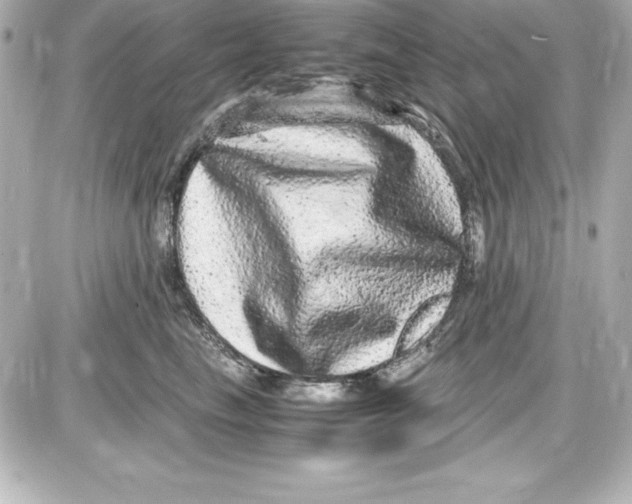 X0000087420665200705111918