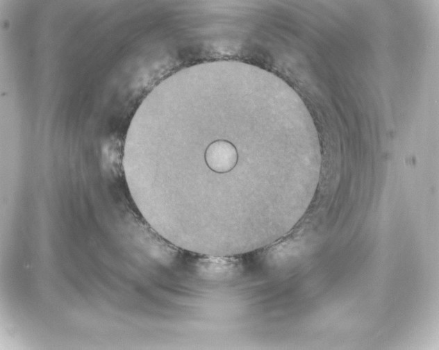X0000087420672200705111918