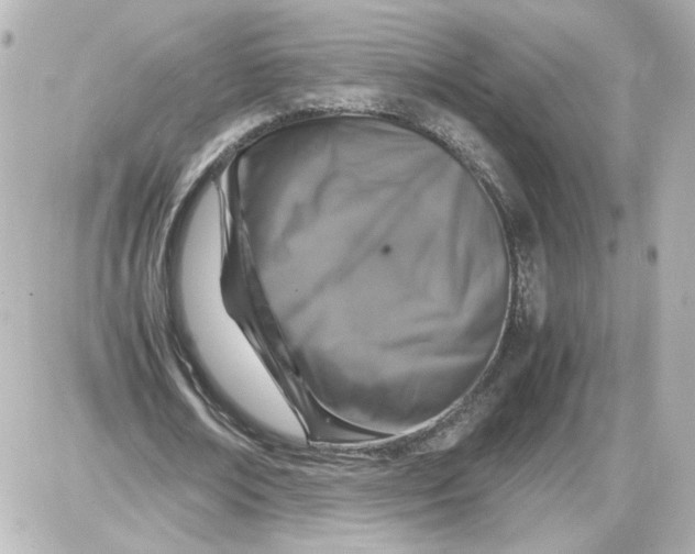 X0000087420674200705111917