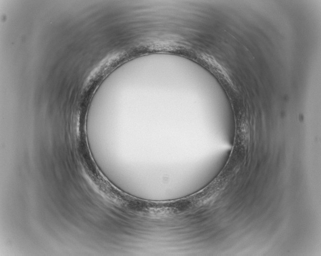 X0000087420686200705111917