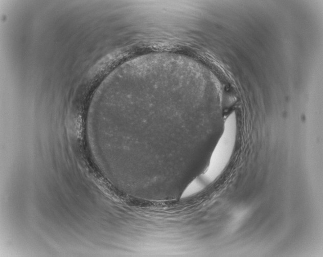 X0000087420689200705111917