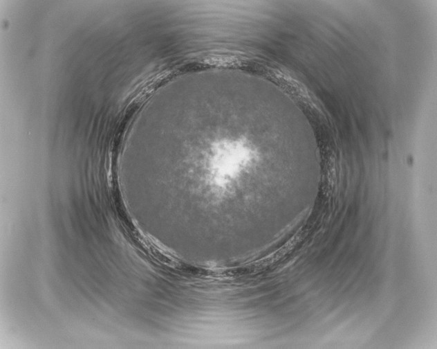 X0000087420696200705111916