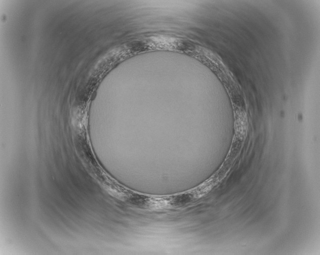 X0000087420701200705111916
