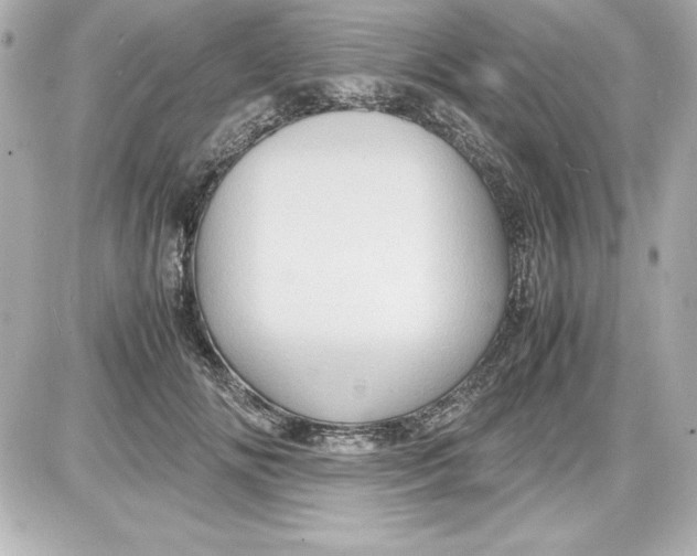 X0000087420702200705111916