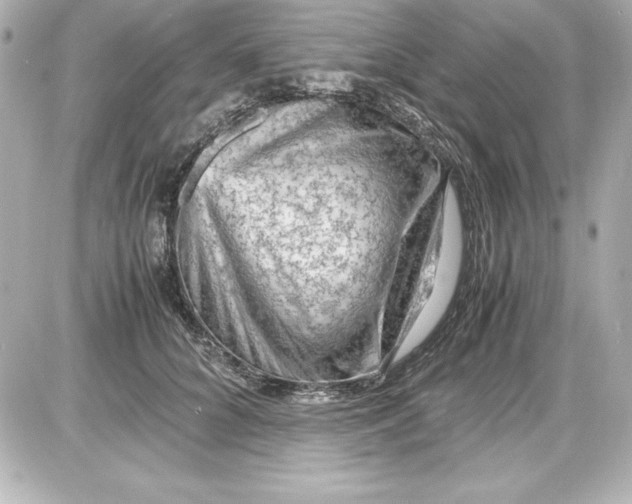 X0000087420704200705111916