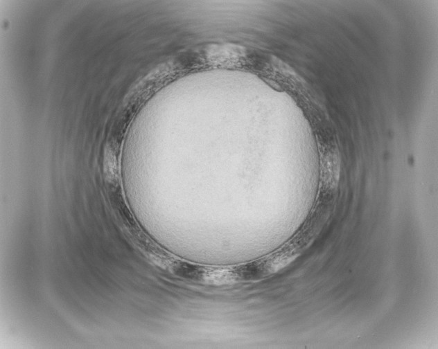 X0000087420705200705111916