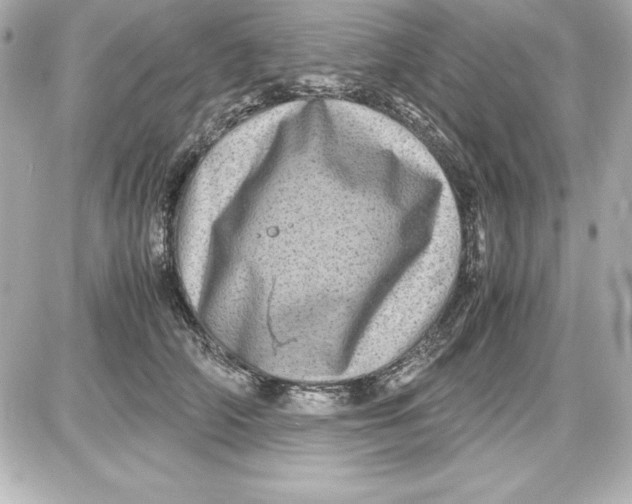 X0000087420706200705111916