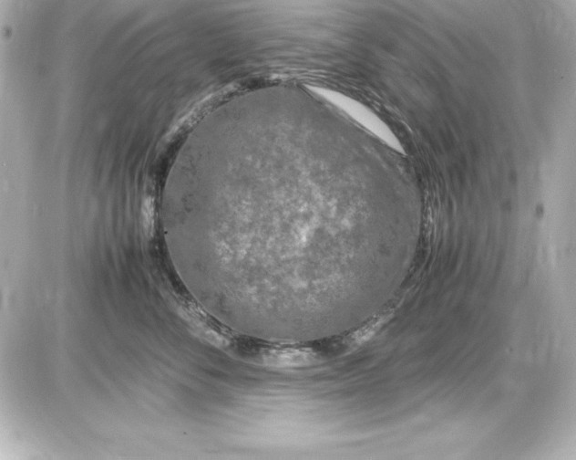 X0000087420716200705111916