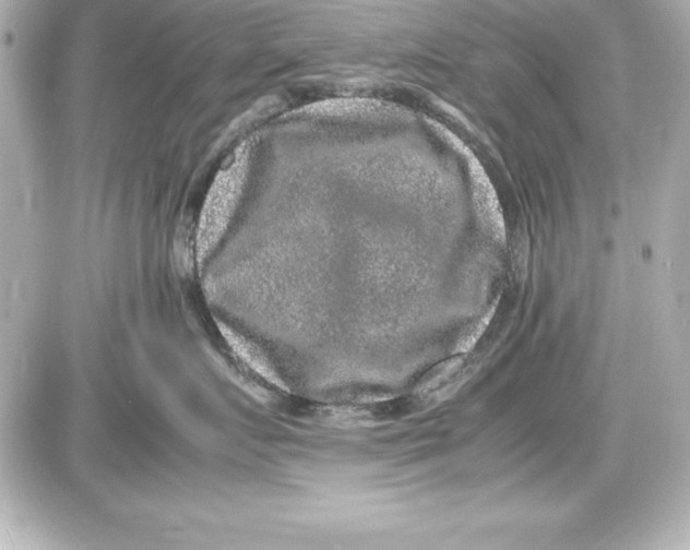 X0000087420719200705111916